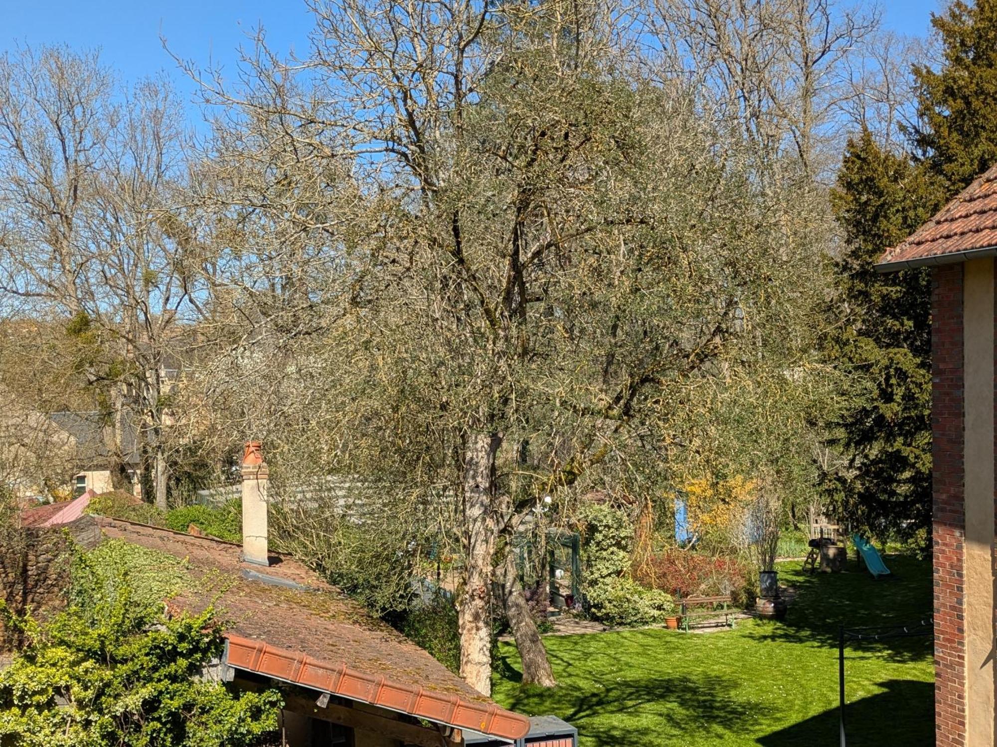 La Maison D'A Cote Saint-Amand-en-Puisaye Eksteriør billede