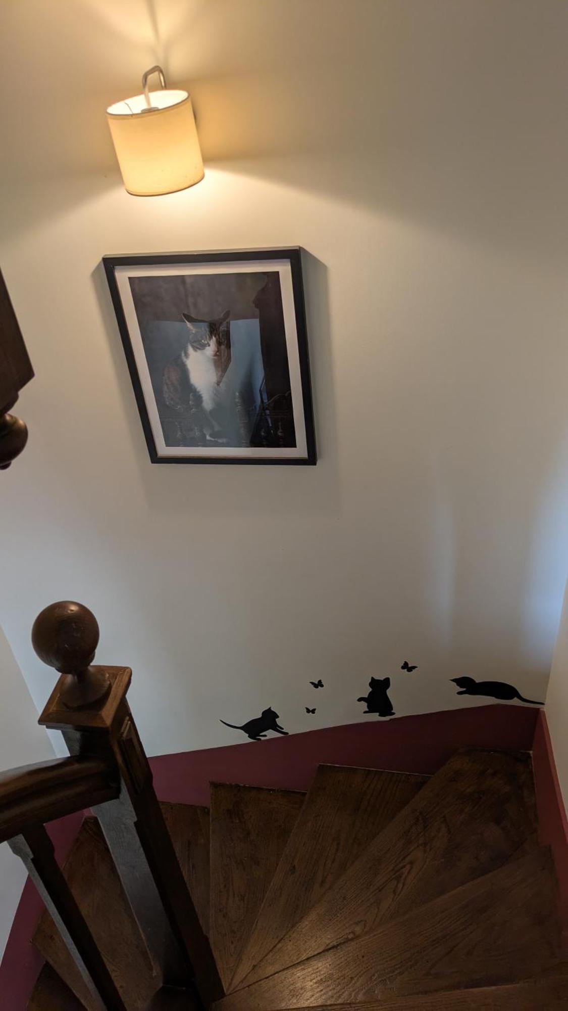 La Maison D'A Cote Saint-Amand-en-Puisaye Eksteriør billede