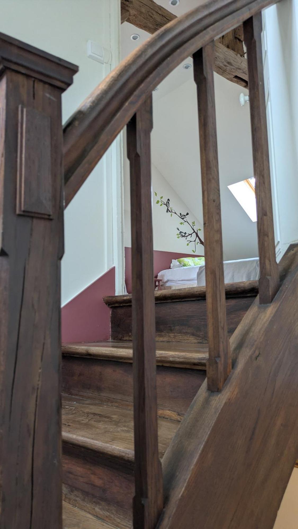 La Maison D'A Cote Saint-Amand-en-Puisaye Eksteriør billede